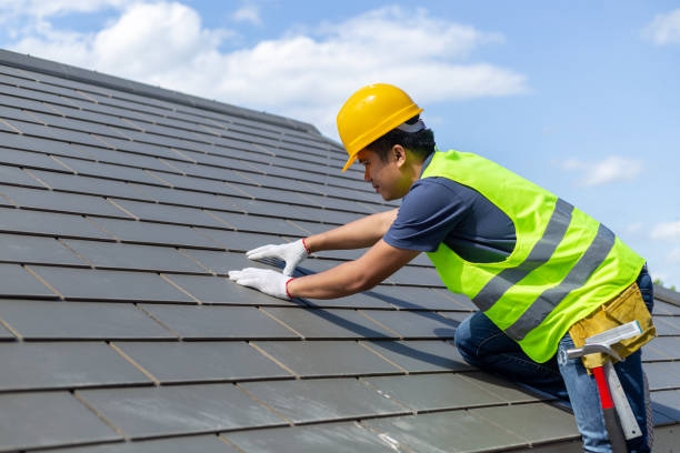 Best Roof Gutter Cleaning  in Clinton, NC
