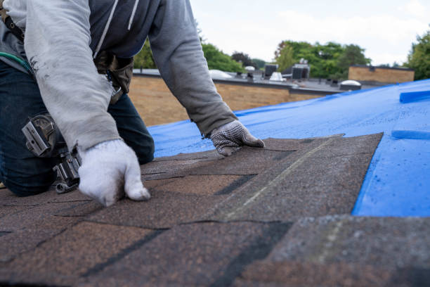 Best Roof Waterproofing Services  in Clinton, NC
