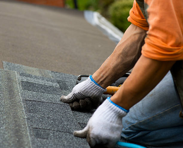 Best Roof Gutter Cleaning  in Clinton, NC